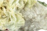 Green, Bladed Prehnite Crystals with Quartz - Morocco #255517-1